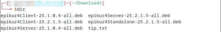 Der Ordner Downloads enthält die Installationspakete mit der Versionsnummer im Namen.