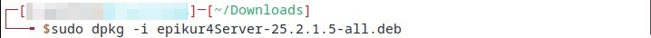 Der Installationsbefehl für den Server im Terminal.