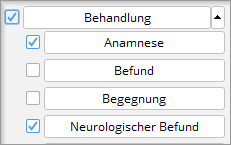 Im Filter Behandlung wählen Sie die Behandlungsdatensätze, die die Patientenakte zeigt. Filter Behandlung mit den Behandlungsdatensätzen Anamnese, Befund, Begegnung und Neurologischer Befund