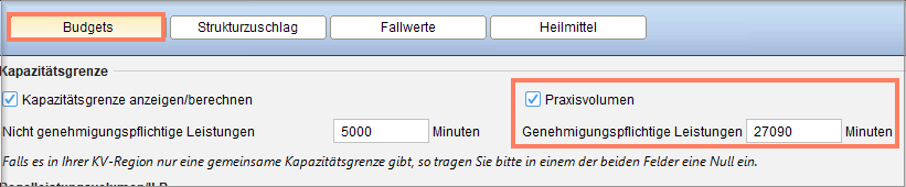 Eingabe des gesamten Zeitkontingents unter Genehmigte Leistungen im Bereich Budgets